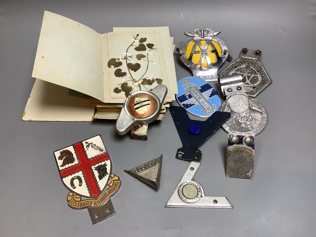 Eight vintage car badges and pressed flower albums